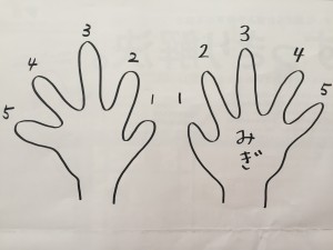 手の形